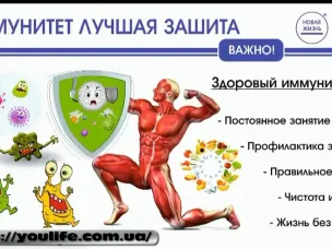 Здоровое питание летом и иммунитет