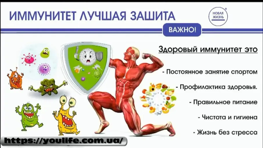 Здоровое питание летом и иммунитет