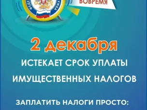 2 декабря 2024 года - срок уплаты имущественных налогов физическими лицами за 2023 год. На что стоит обратить внимание и как исполнить свою обязанность по уплате налогов в срок.