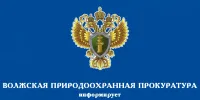 Проведение горячей линии по вопросам исполнения законодательства об охране и использовании лесов