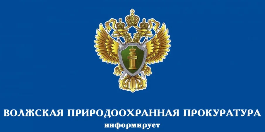 Проведение горячей линии по вопросам исполнения законодательства об охране и использовании лесов