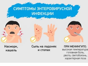 О мерах профилактики Энтеровирусной инфекции.
