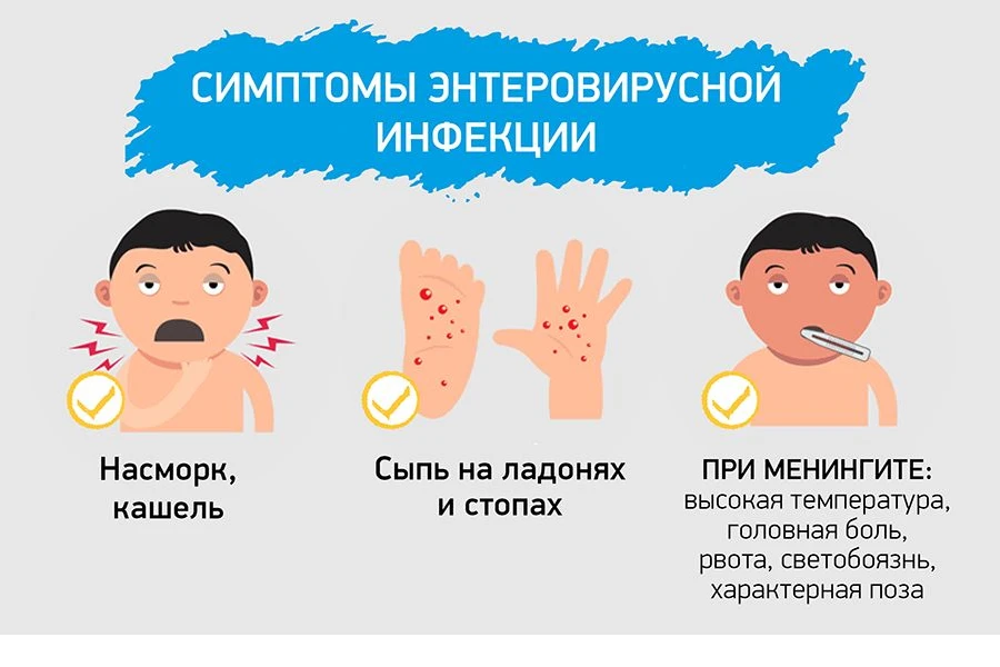 О мерах профилактики Энтеровирусной инфекции.
