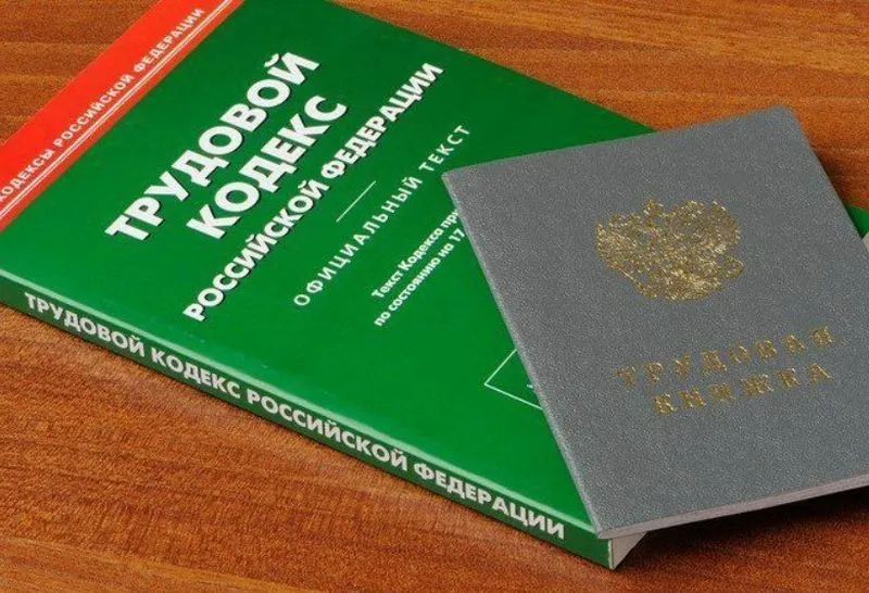 С 1 января 2025 Федеральная служба по труду и занятости (Роструд) начала формировать реестр работодателей