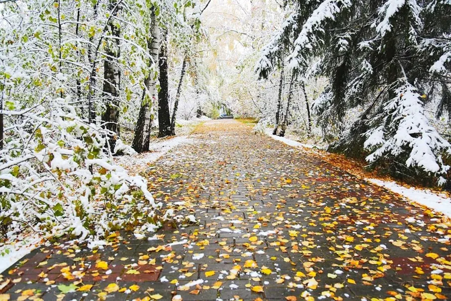 В Воскресенском округе о главном!