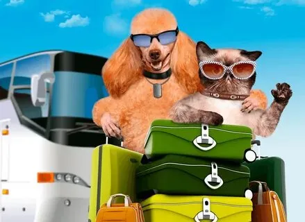 Безопасный отдых за рубежом