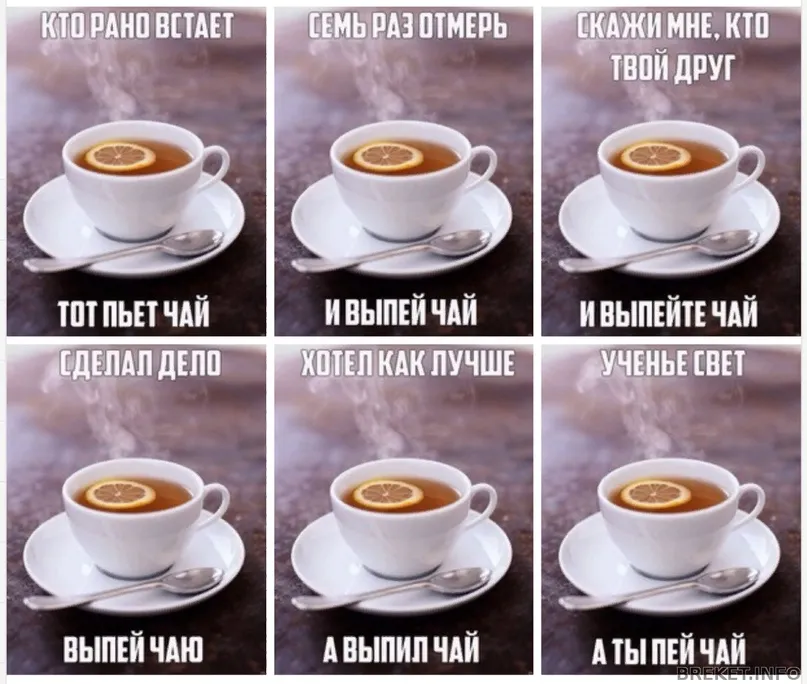 Чай выбираем лучший