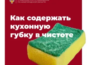 О губках для посуды: как гигиенично использовать?