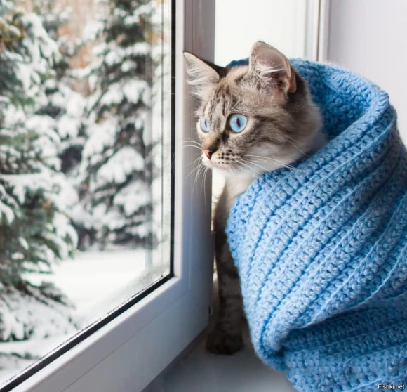 Надо ли проветривать квартиру зимой