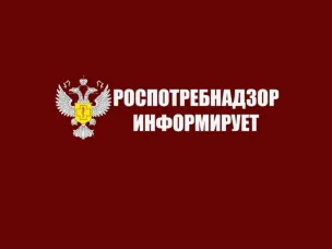 Роспотребнадзор запускает «горячую линию» по вопросам качества и безопасности детских товаров и выбору новогодних подарков.