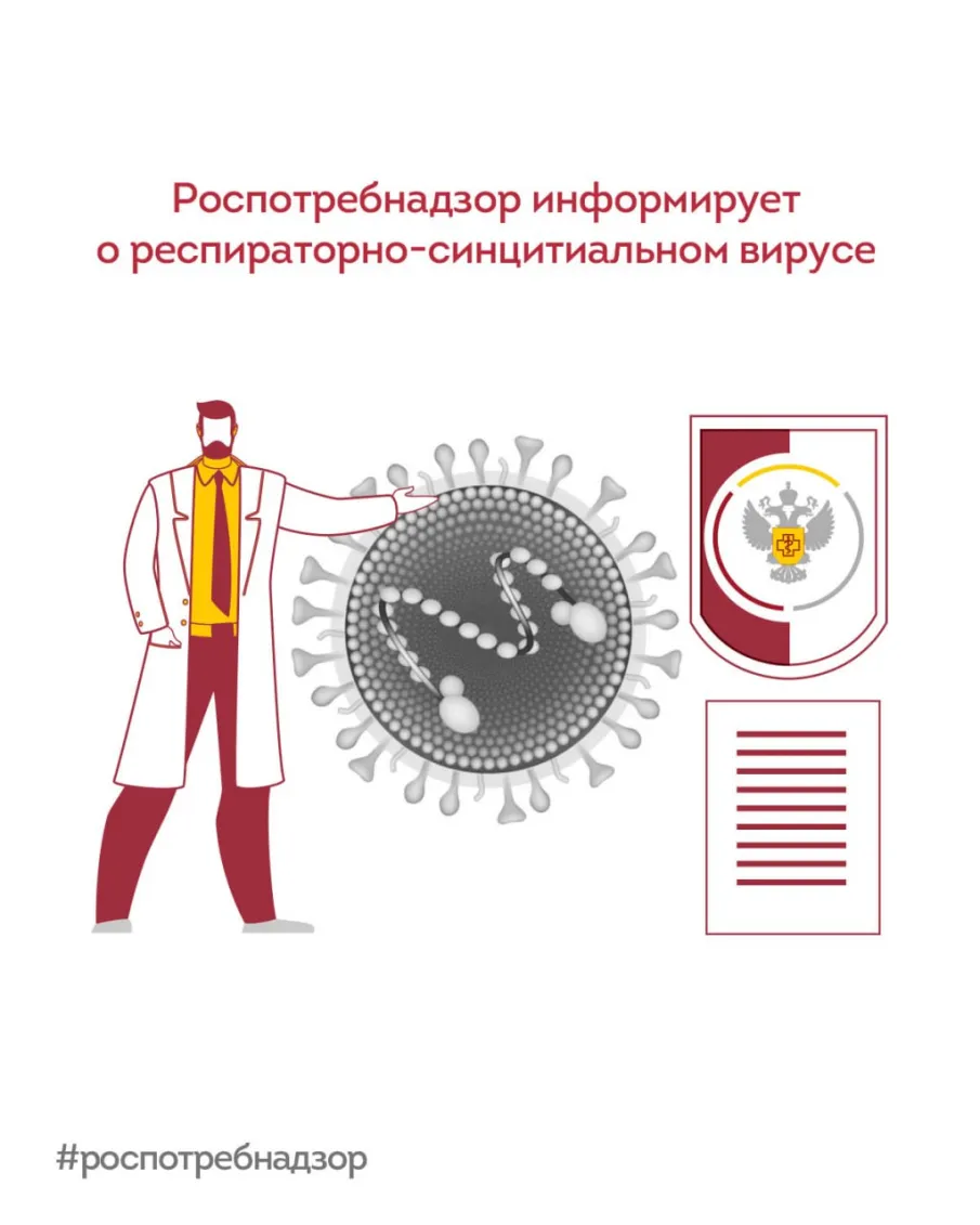 Что такое респираторно синцитиальный вирус?