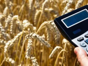 Объявление о проведении отбора получателей субсидии на возмещение части затрат на поддержку элитного семеноводства