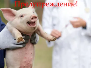 Внимание жители округа!