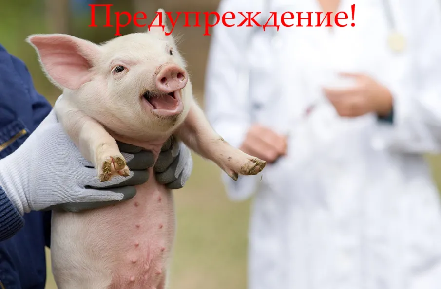 Внимание жители округа!