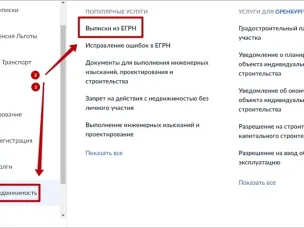 Получи выписку из ЕГРН бесплатно и за 1 минуту