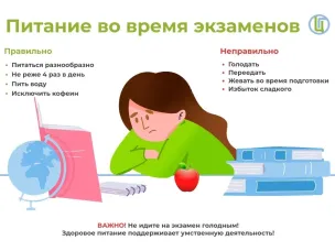 Питание во время подготовки к экзаменам