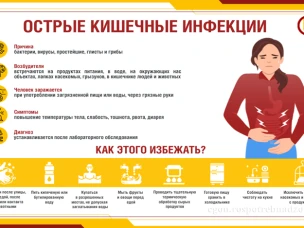 Управление Роспотребнадзора по Воскресенскому округу напоминает пять правил профилактики кишечных инфекций