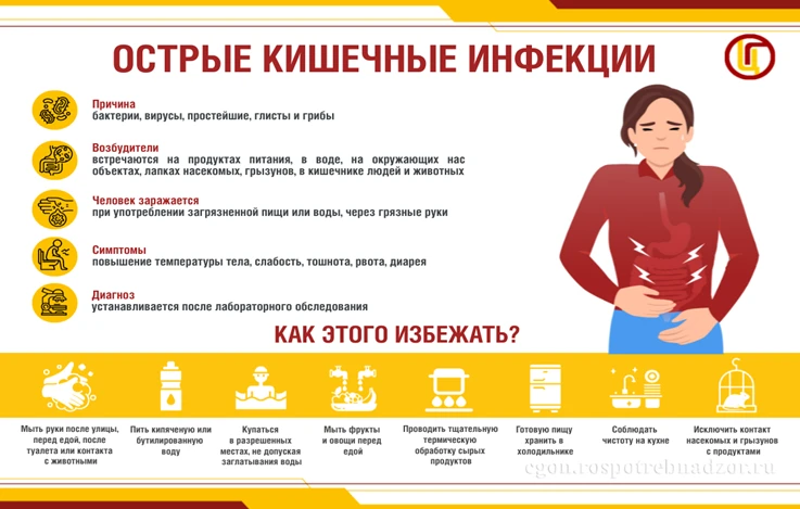 Управление Роспотребнадзора по Воскресенскому округу напоминает пять правил профилактики кишечных инфекций