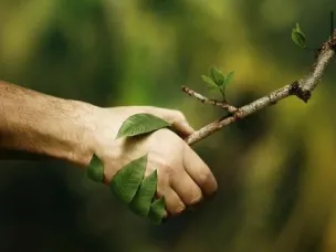 «Справедливый переход к устойчивому образу жизни»