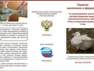 Что такое птичий грипп