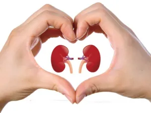 Топ-5 продуктов для здоровья почек